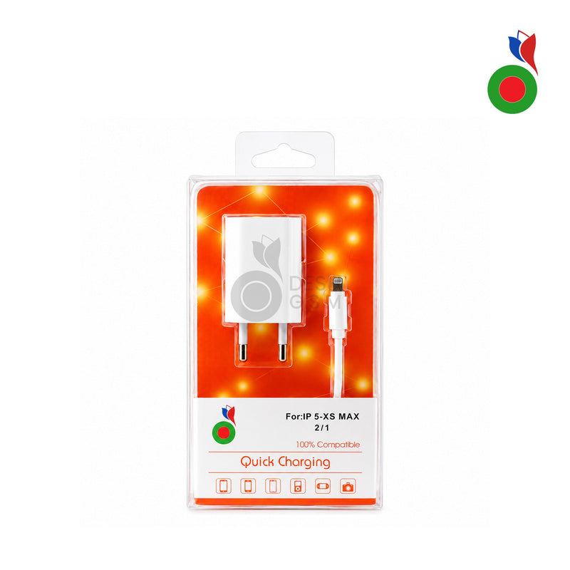 Standard Charger USB A vers Lightning | iPhone