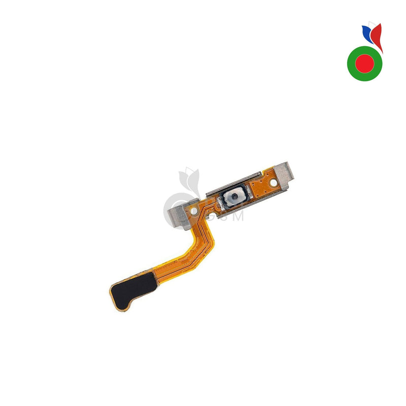 Nappe Power Bouton Flex S8/S8 Plus (G950, G955F, N950F) | SAMSUNG